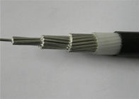 16 Mm Pvc Insulation XLPE Insulated Power Cable For CSA Standard